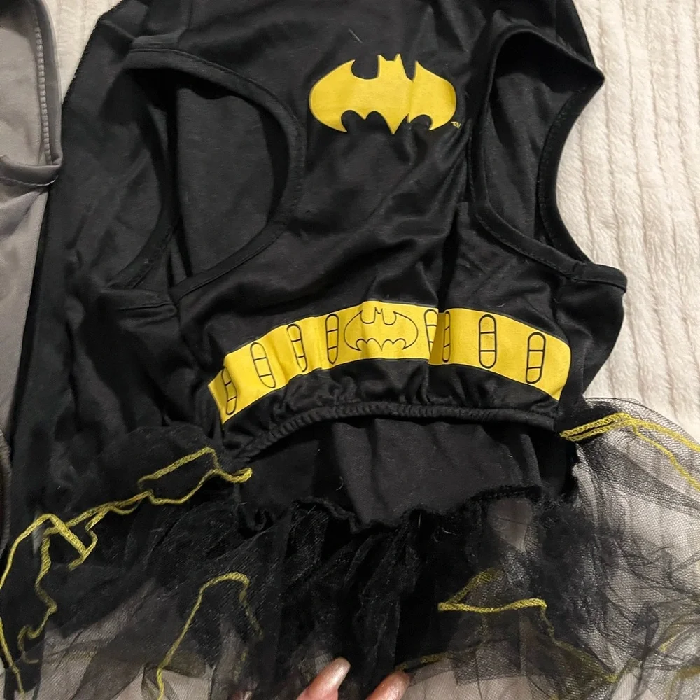 Small Doggie Halloween Batman and Robin Costume Set - Black, Gray, and Yellow